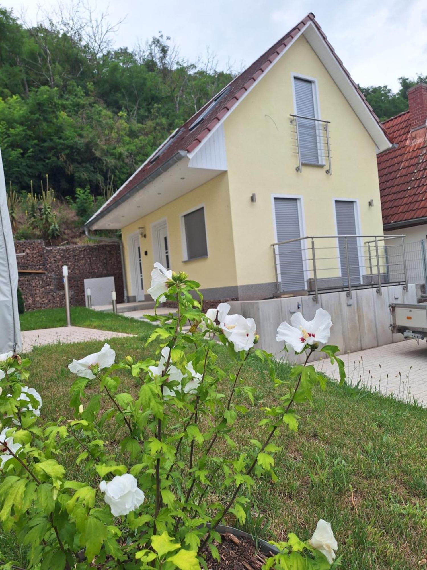Ferienhaus Saaleblick Wettin Luaran gambar